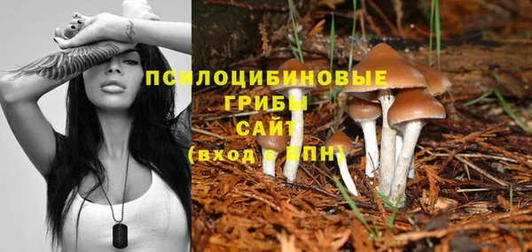 ешки Магас