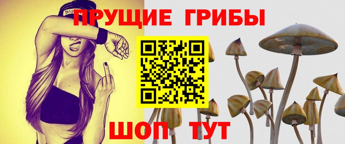 Иркутск  Галлюциногенные грибы мухоморы  Вход с VPN 
