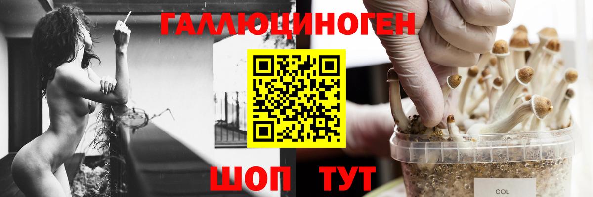 Псилоцибиновые грибы мицелий Иркутск